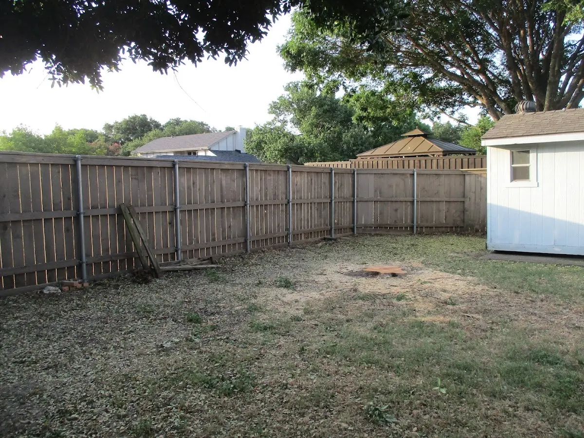 Cleared yard after professional tree removal in Anmoore